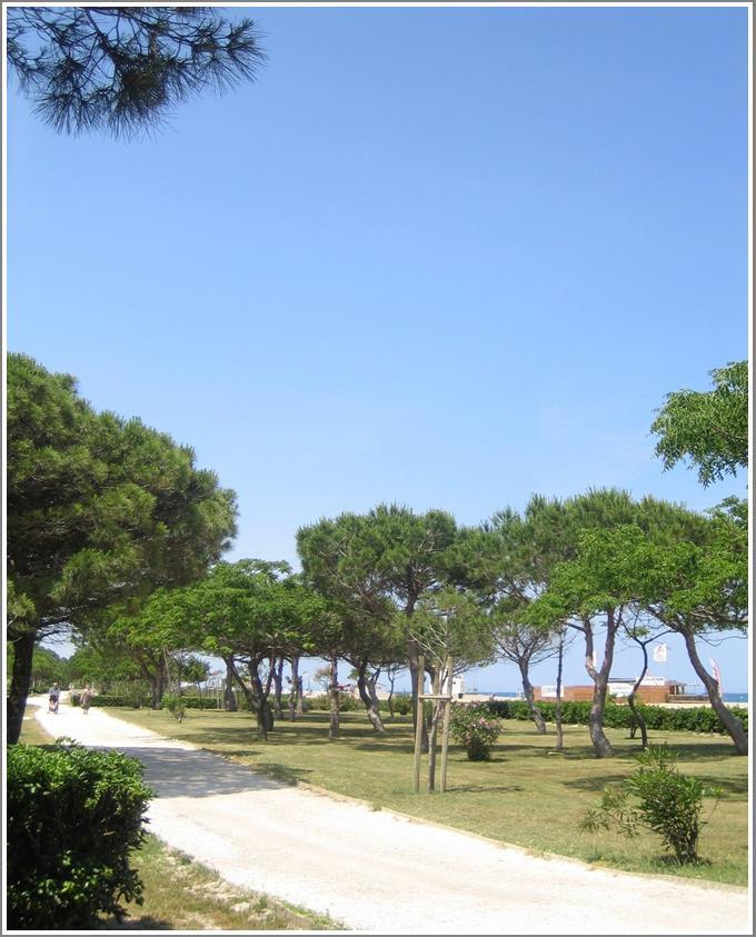 Locations Meublees Plage Des Pins Аржеле-сюр-Мер Екстериор снимка